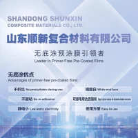 Shangdong Shunxin Composite Materials Co., Ltd